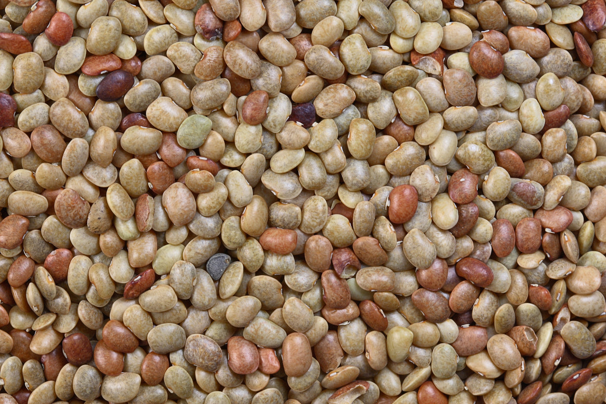 Horse gram Kulthi (gahat) - ketu
