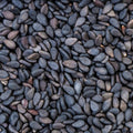 Black seesame seeds - काले तिल