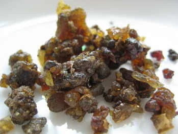 Guggul -गुग्गुल