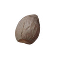 Jata nariyal dried - जटा नारियल