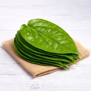 Beetle leaves - Paan ( पान के पत्ते )