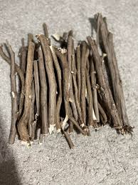Tulsi twigs तुलसी की टहनि
